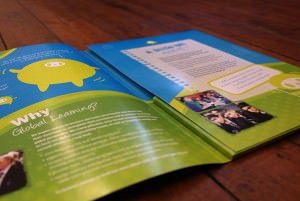 Local Learning Global Understanding