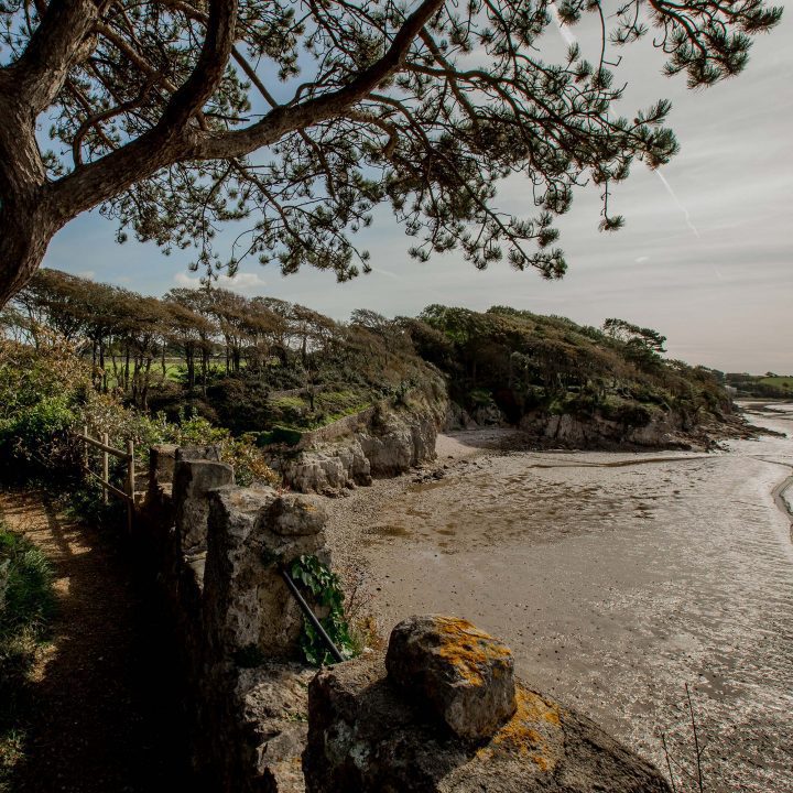 New brand identity and website design for Cove House residential home